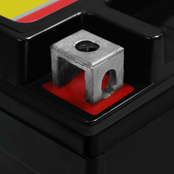 Mighty Max Battery YTX12-BS 12V 10AH Battery Replacement for